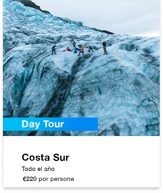 Day tour Costa Sur precio
